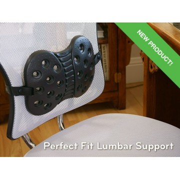 BackJoy Perfect Fit Lumbar Support NOW $58 UP $80.90