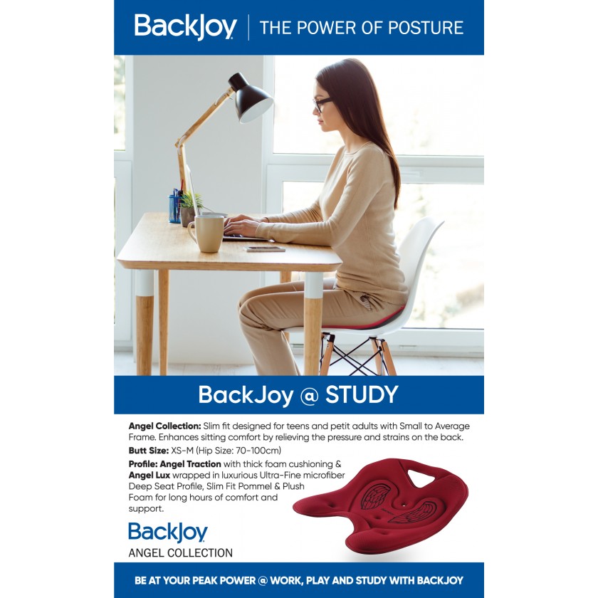 BackJoy SitSmart Core Traction Posture Seat Designed for Lower Back Pain  Relief 1 ct